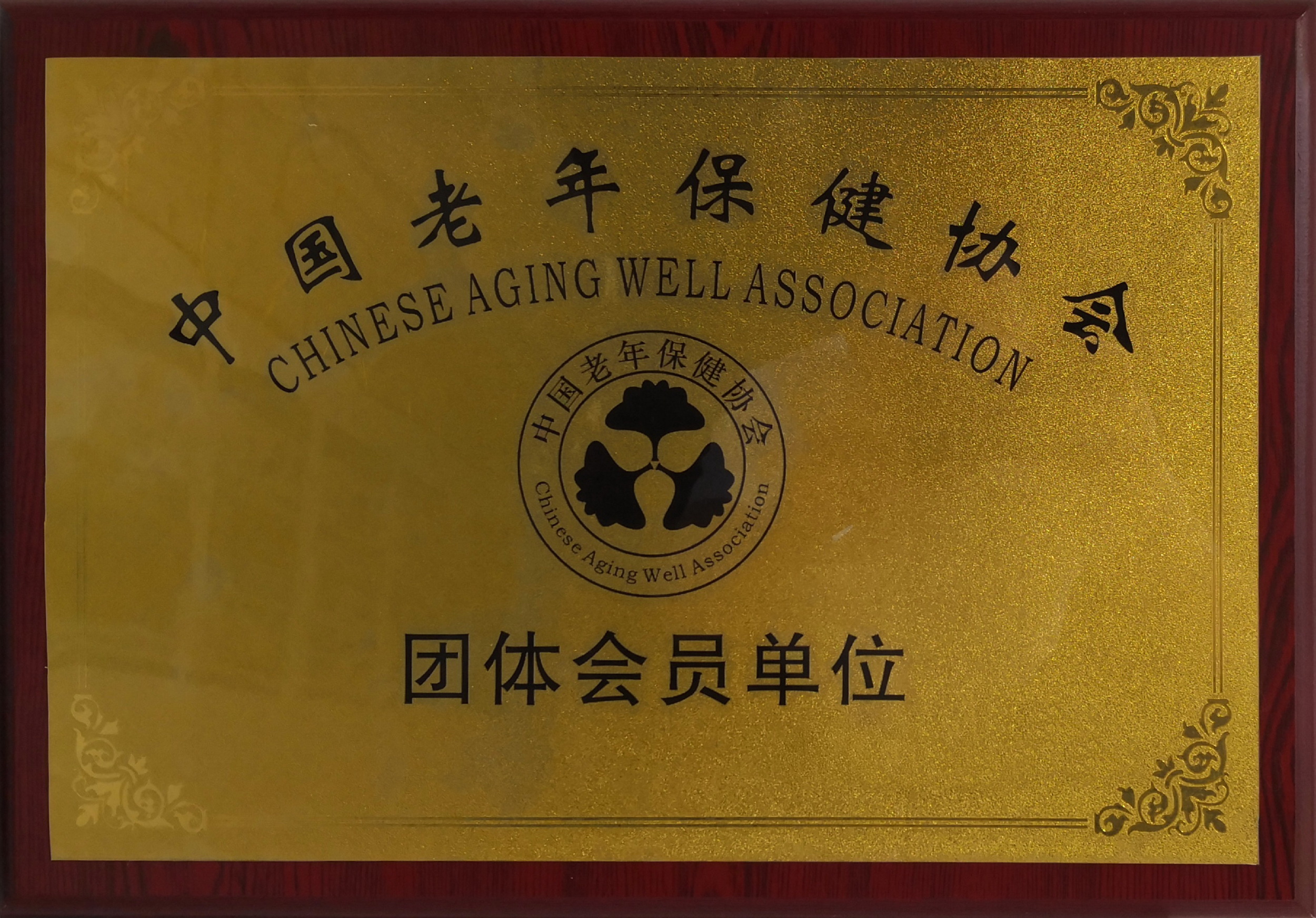 中國老年保健協(xié)會(huì)團(tuán)體會(huì)員單位